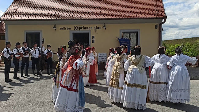 Kapelanov stan