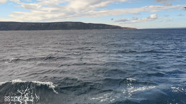 Ul. Riva creskih kapetana 8A, 51557, Cres