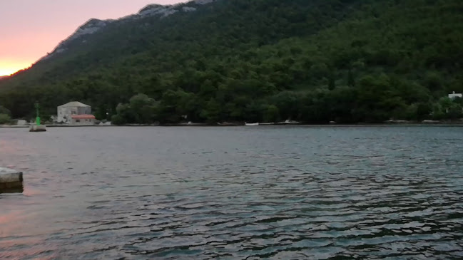 Broce 11, 20230, Broce