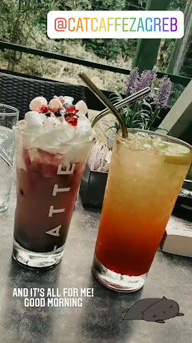 Opinii despre Cat Caffe Zagreb în Zagreb - Gastronomija i ugostiteljstvo