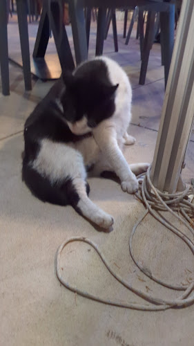 Ul. Riva Svetoga Mikule 11, 21485, Komiža