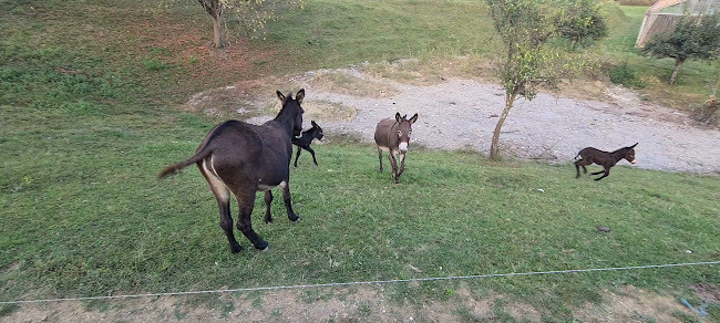 Agroturism Stara Štala