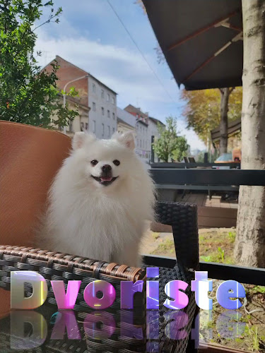 Comentarii opinii despre Caffe bar Dvorište