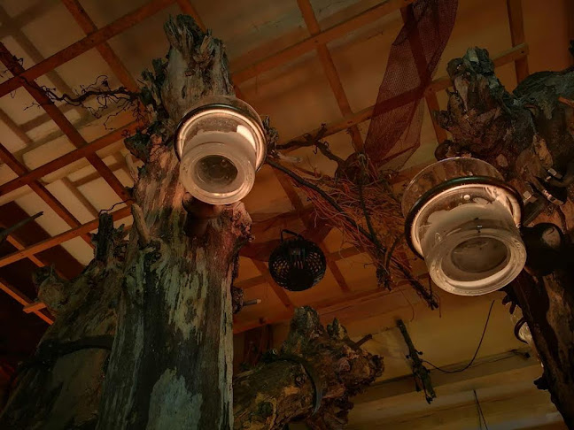 Caffe club Nazorova5 - Gastronomija i ugostiteljstvo