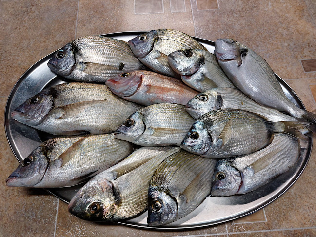 Santa Marina - Gastronomija i ugostiteljstvo