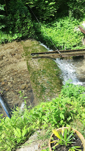 Izletište Dumić - Samobor