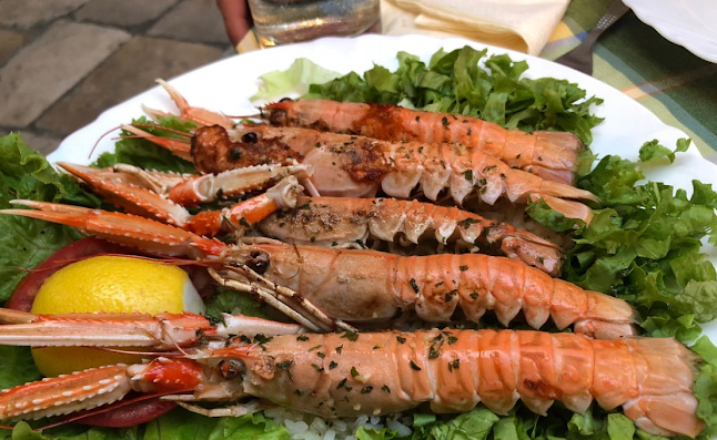 Konoba Sciabecco - Gastronomija i ugostiteljstvo