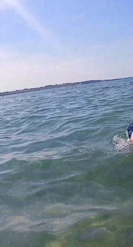 Opinii despre Bistro Ivan în Gornji Karin - Gastronomija i ugostiteljstvo