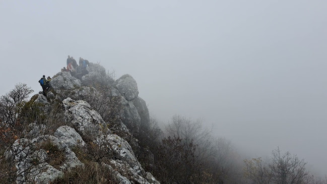 Starogradska 64, 48269, Kalnik