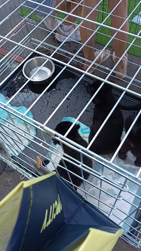 Opinii despre Caffe bar Striga în Rijeka - Gastronomija i ugostiteljstvo