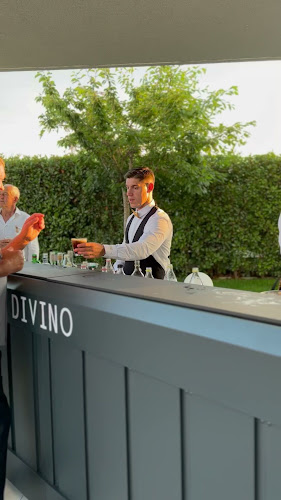 Comentarii opinii despre Divino Wedding & Events