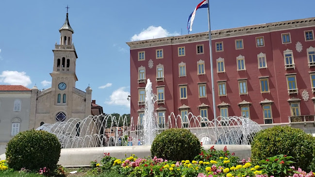 Comentarii opinii despre Zlatna ribica