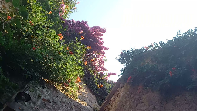 Konoba Pharia - Stari Grad