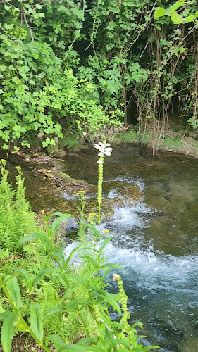 Antoničin mlin - Gastronomija i ugostiteljstvo