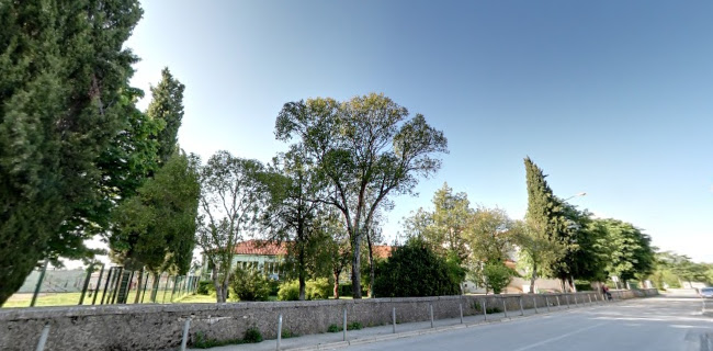 Pizzeria Orhideja - Žminj