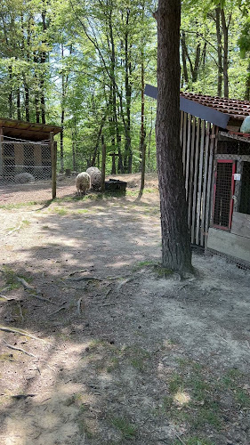 Comentarii opinii despre Izletište Ključić Brdo