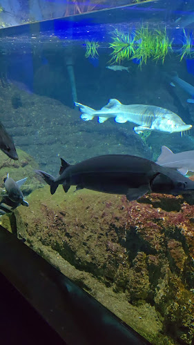 Theatrium by Filho - Gastronomija i ugostiteljstvo