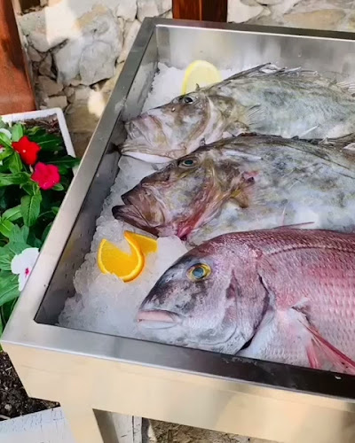 Opinii despre Bacchus în Hvar - Gastronomija i ugostiteljstvo