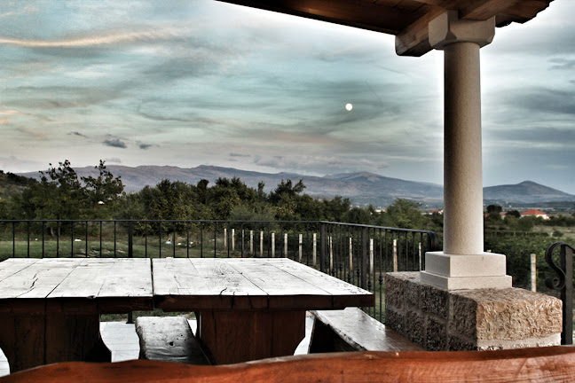 Vizzulin - Vinotočje - Gastronomija i ugostiteljstvo