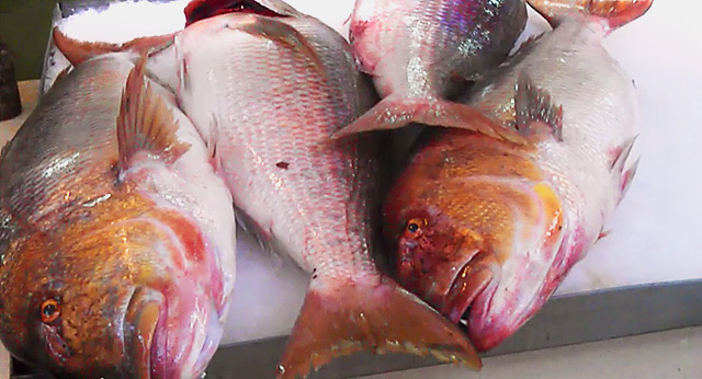 Comentarii opinii despre Posejdon