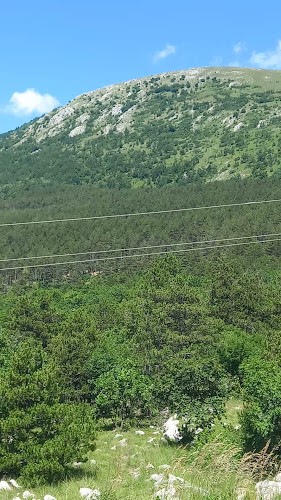 Opinii despre Busko blato în Velika Gorica - Gastronomija i ugostiteljstvo