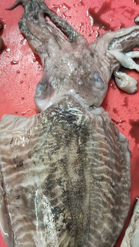 Restoran PUNTIN - Gastronomija i ugostiteljstvo