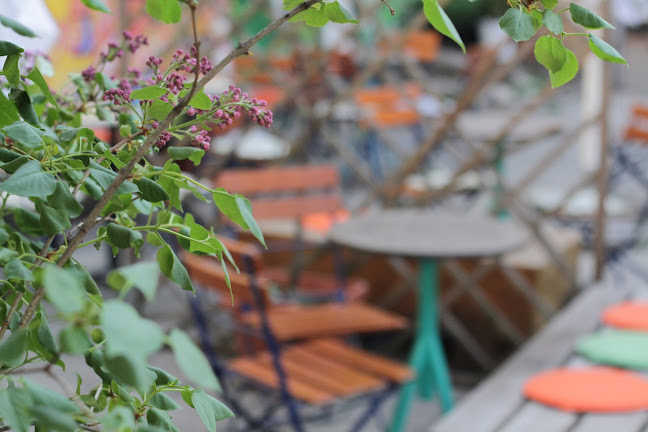 Comentarii opinii despre Cogito Coffee HQ / Café u Dvorištu