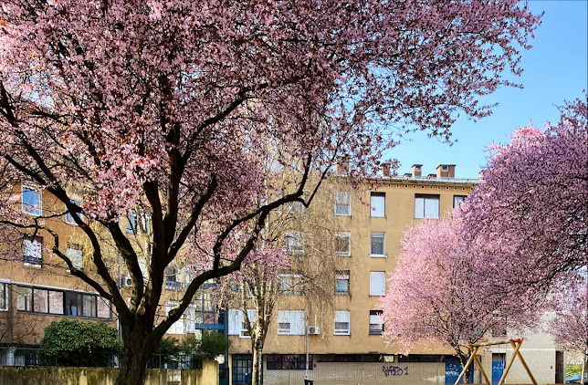 Opinii despre Caffe bar Inverno în Zagreb - Gastronomija i ugostiteljstvo