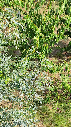 Ul. Kralja Tomislava 107, 51260, Crikvenica