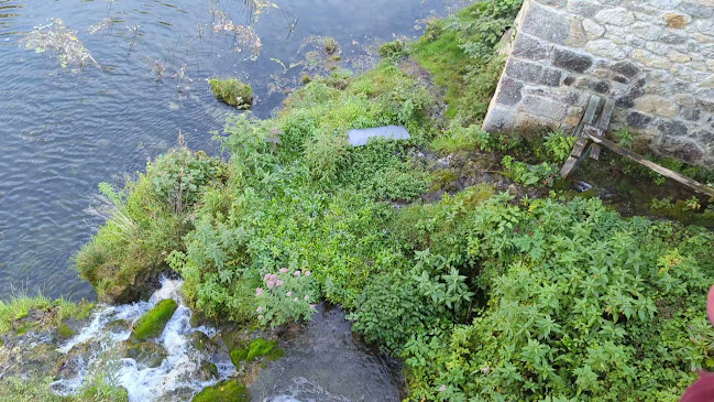 Opinii despre Caffe Bar "Vodena Ovca" în Rastoke - Gastronomija i ugostiteljstvo