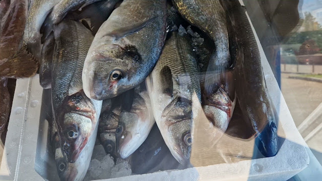 Opinii despre Ribarnica Tar în Tar - Gastronomija i ugostiteljstvo