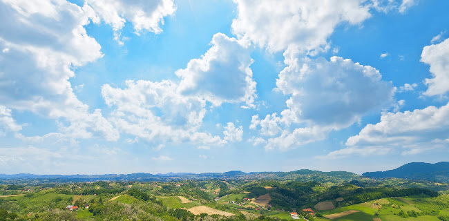 Opinii despre Restoran, vinarija i pansion Vuglec Breg în Škarićevo - Gastronomija i ugostiteljstvo