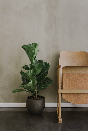 kava37 | Specialty Coffee Shop Hvar - Gastronomija i ugostiteljstvo