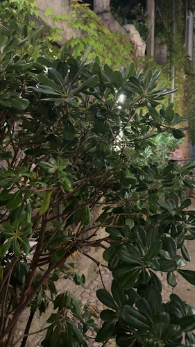 Opinii despre Boccadoro în Vis - Gastronomija i ugostiteljstvo