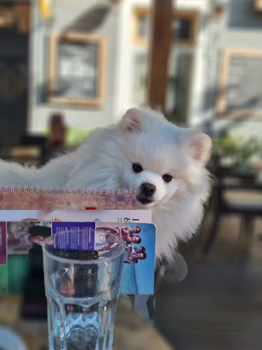 Caffe bar Dvorište - Gastronomija i ugostiteljstvo