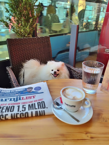 Maksimirska Cesta 31, 10000, Zagreb