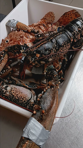 Opinii despre La Boca în Rovinj - Gastronomija i ugostiteljstvo