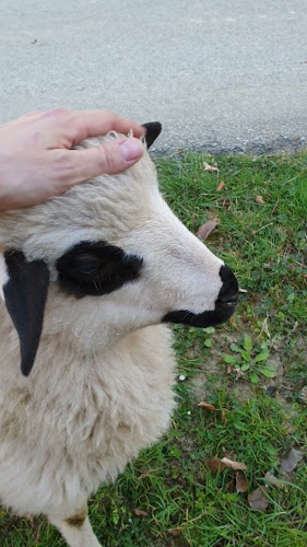 Restoran, vinarija i pansion Vuglec Breg