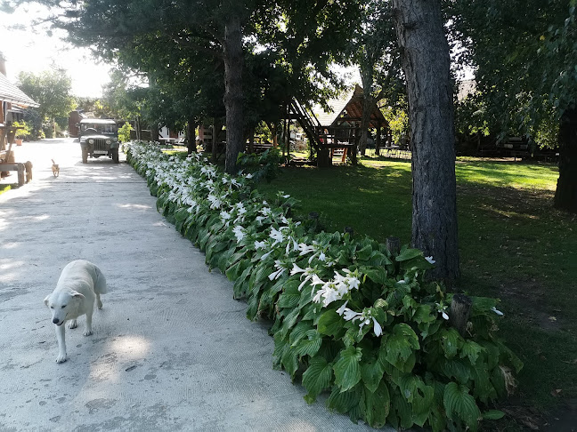 Zlatni Klas Otrovanec - Gastronomija i ugostiteljstvo