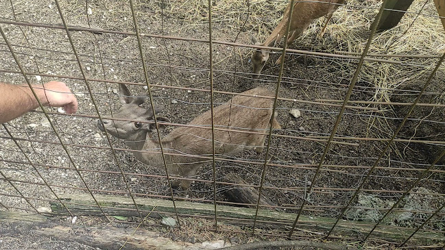 Pansion Lovački - Delnice