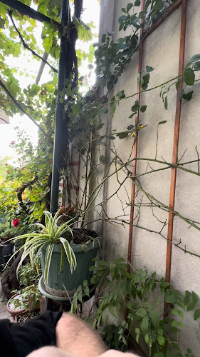 Restoran "Kod Pere" - Gastronomija i ugostiteljstvo