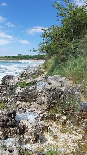 Plaža Karpinjan Lido Bar - Gastronomija i ugostiteljstvo