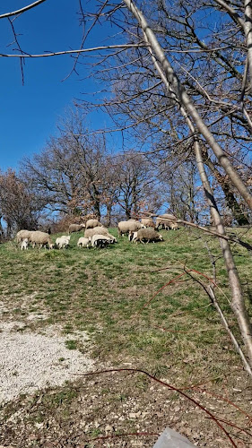 Agroturizam Radešić