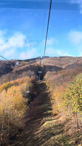 Comentarii opinii despre Restoran Zlatni Medvjed