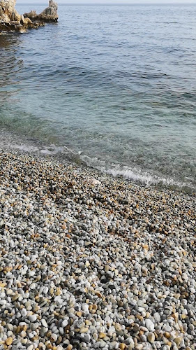 Comentarii opinii despre Mosquito Bar