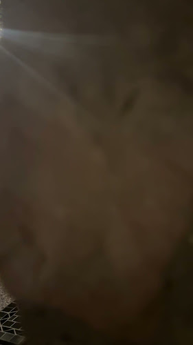 Boccadoro - Gastronomija i ugostiteljstvo