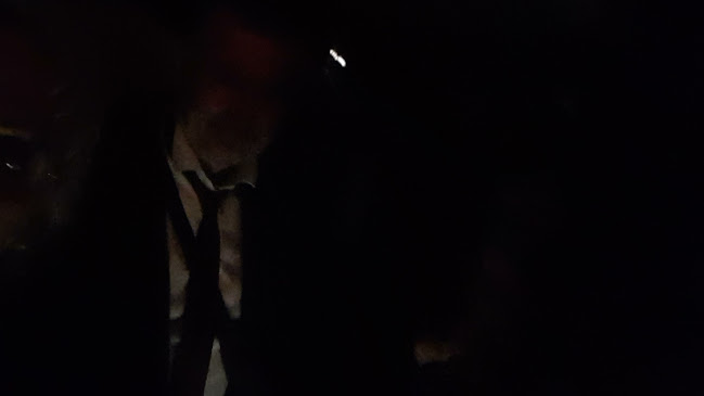 Preradovićeva ul. 30, 10000, Zagreb