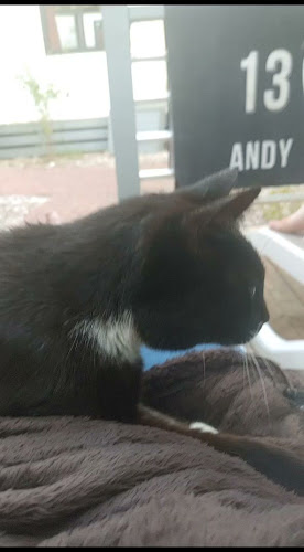 Opinii despre Konoba Mirakul în Trogir - Gastronomija i ugostiteljstvo