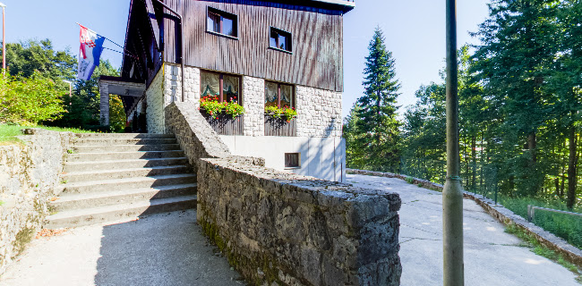 Comentarii opinii despre Pansion Lovački