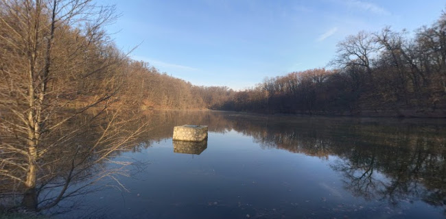 Comentarii opinii despre Vidikovac